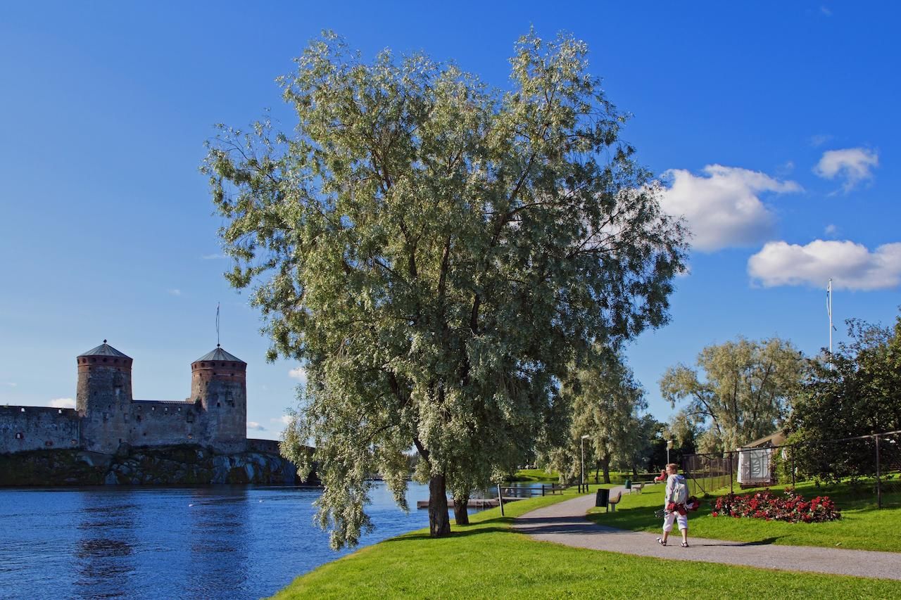 Отель Lossiranta Lodge Савонлинна-45